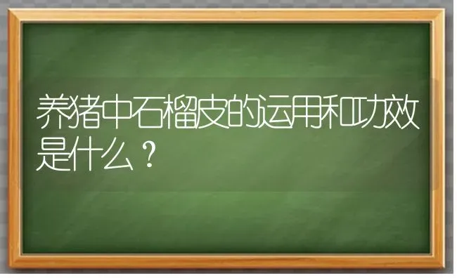 养猪中石榴皮的运用和功效是什么？ | 家畜养殖