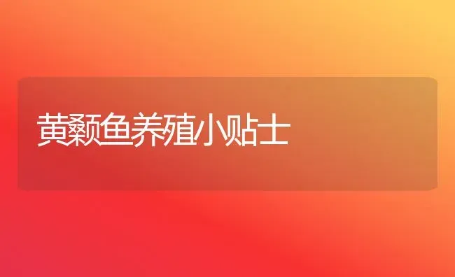 黄颡鱼养殖小贴士 | 淡水养殖