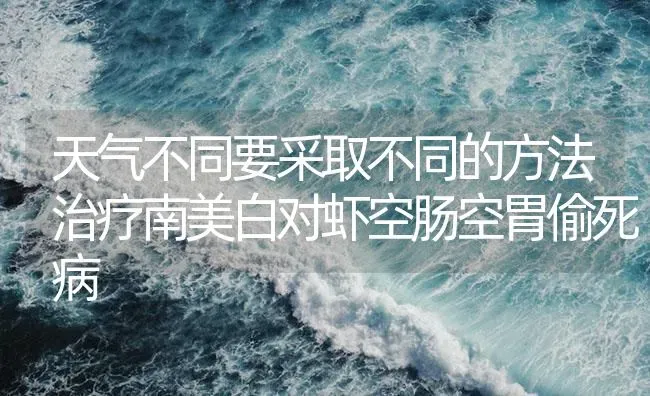 天气不同要采取不同的方法治疗南美白对虾空肠空胃偷死病 | 海水养殖