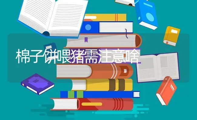棉子饼喂猪需注意啥 | 家畜养殖