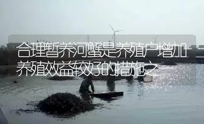 合理暂养河蟹是养殖户增加养殖效益较好的措施之一 | 淡水养殖
