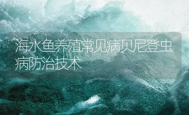 海水鱼养殖常见病贝尼登虫病防治技术 | 养殖病虫害防治
