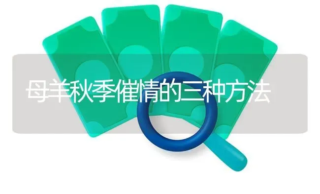 母羊秋季催情的三种方法 | 家畜养殖