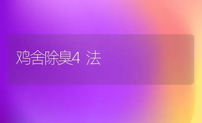 鸡舍除臭4法 | 家禽养殖