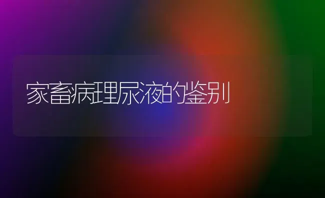 家畜病理尿液的鉴别 | 家畜养殖