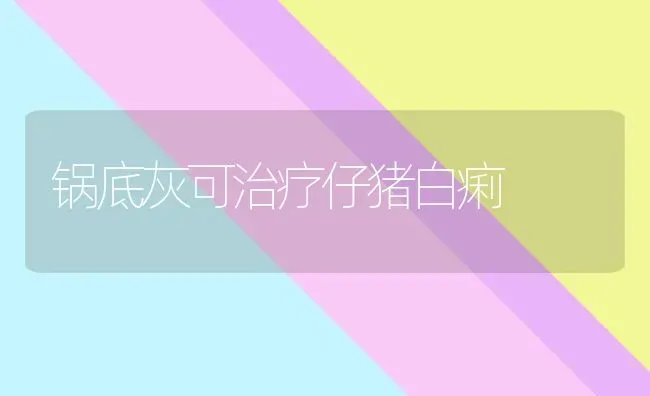 锅底灰可治疗仔猪白痢 | 家畜养殖