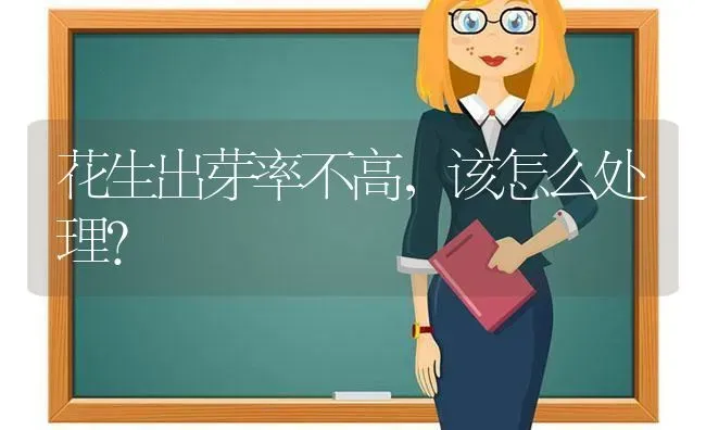 夏季养兔要做好七件事 | 家畜养殖