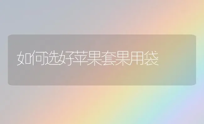 瘦羊快速育肥方法 | 家畜养殖