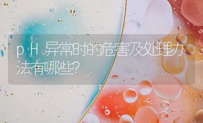 pH异常时的危害及处理办法有哪些？ | 动物养殖百科