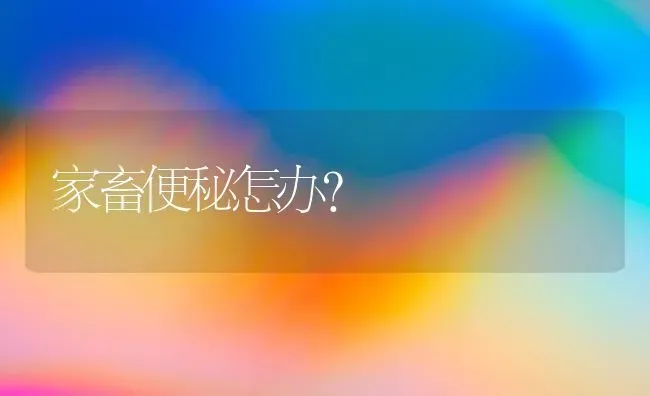 家畜便秘怎办？ | 家畜养殖