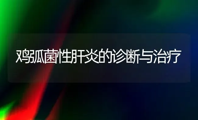 鸡弧菌性肝炎的诊断与治疗 | 家禽养殖