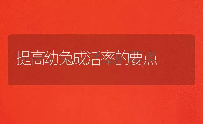 提高幼兔成活率的要点 | 家畜养殖