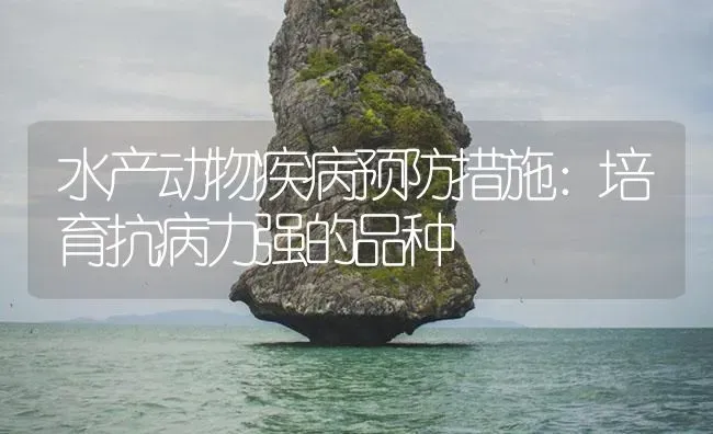 水产动物疾病预防措施：培育抗病力强的品种 | 养殖病虫害防治