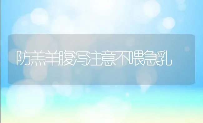 防羔羊腹泻注意不喂急乳 | 家畜养殖