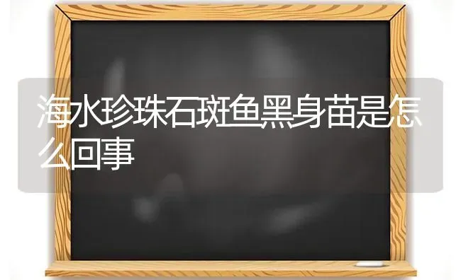 海水珍珠石斑鱼黑身苗是怎么回事 | 淡水养殖