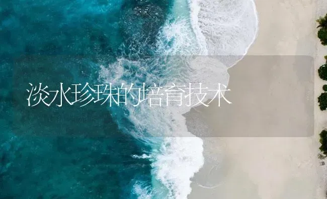 淡水珍珠的培育技术 | 海水养殖