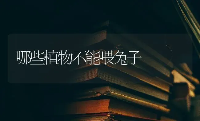 哪些植物不能喂兔子 | 家畜养殖