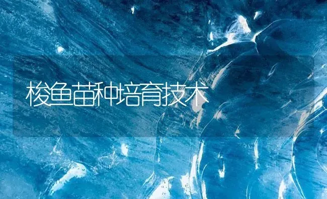 梭鱼苗种培育技术 | 淡水养殖