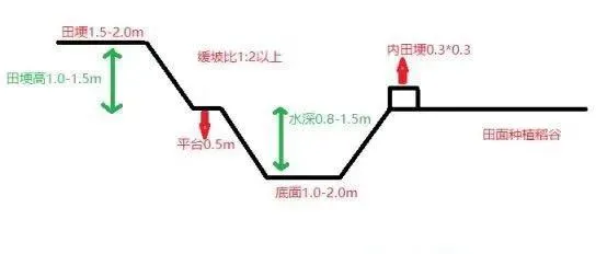 龙虾基建不可忽视的问题