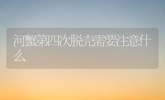 河蟹第四次脱壳需要注意什么 | 淡水养殖