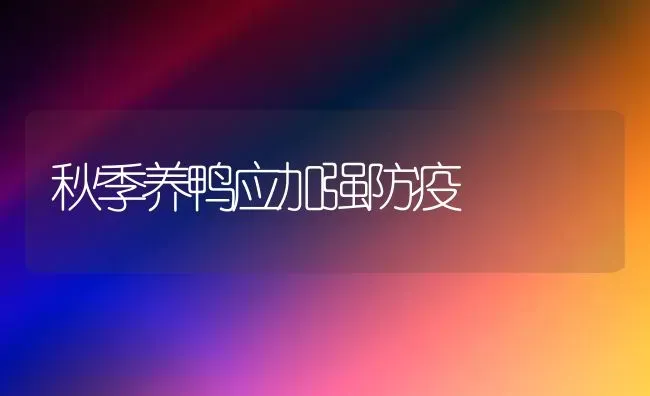 秋季养鸭应加强防疫 | 家禽养殖