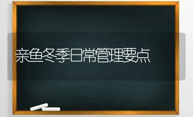 亲鱼冬季日常管理要点 | 淡水养殖