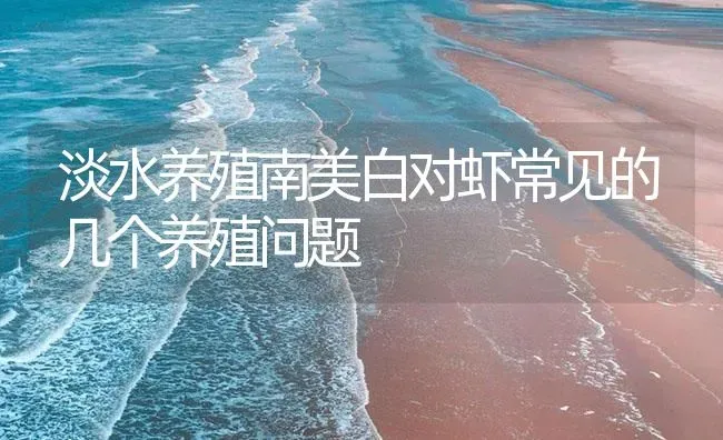 淡水养殖南美白对虾常见的几个养殖问题 | 海水养殖