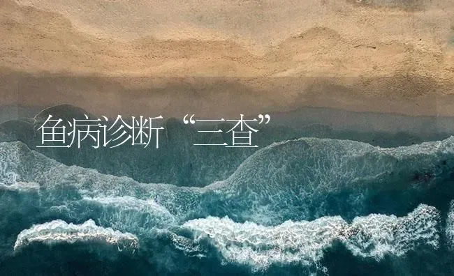 鱼病诊断“三查” | 养殖病虫害防治