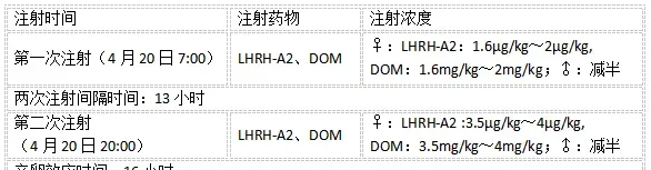 北京地区匙吻鲟剖腹取卵技术