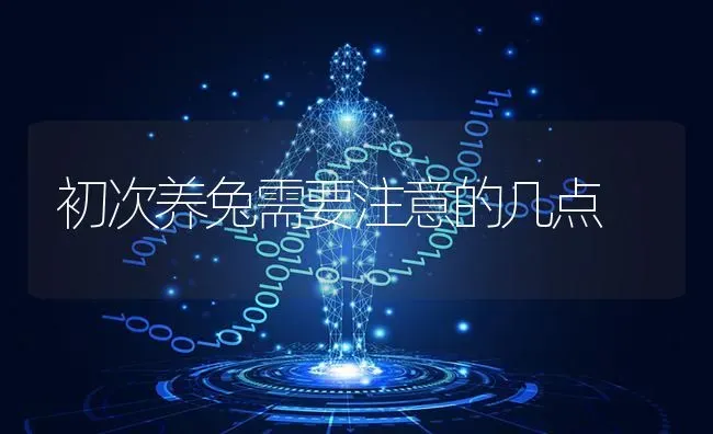初次养兔需要注意的几点 | 家畜养殖