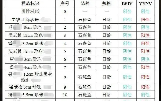 【海水鱼专题】石斑鱼神经坏死病毒病流行特点和防控方法