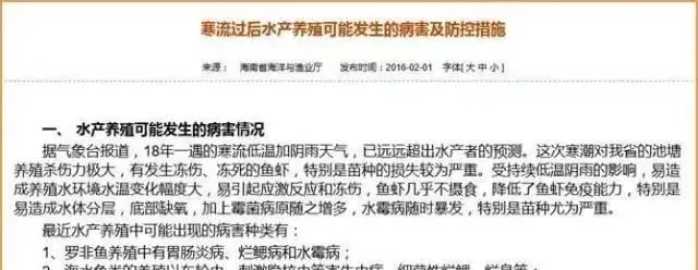 挺过寒潮侵袭冬棚虾亩产超4000斤，饵料系数不到1.2