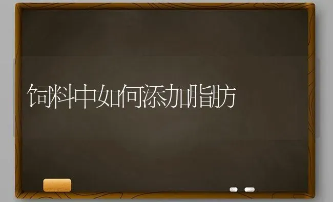 饲料中如何添加脂肪 | 动物养殖饲料