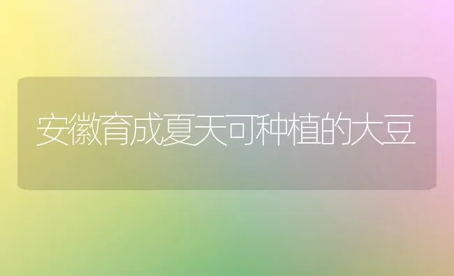 秋季蛋鸡饲养四要点 | 家禽养殖