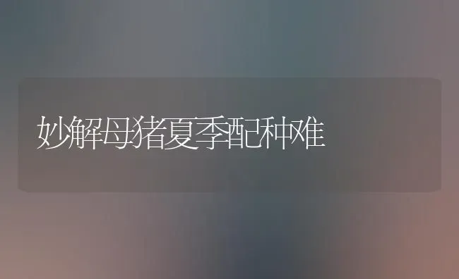 妙解母猪夏季配种难 | 家畜养殖