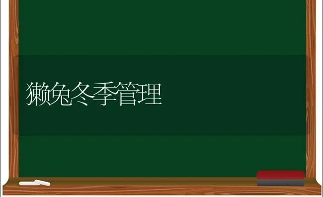 獭兔冬季管理 | 家畜养殖