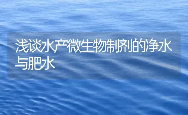 浅谈水产微生物制剂的净水与肥水 | 动物养殖百科