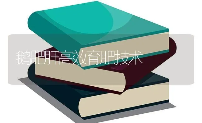 鹅肥肝高效育肥技术 | 家禽养殖