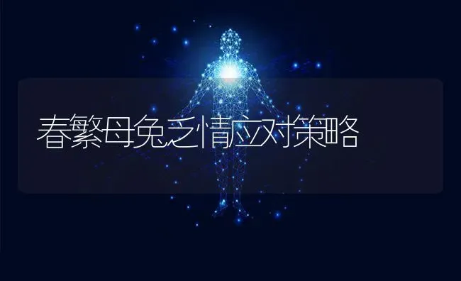 春繁母兔乏情应对策略 | 家畜养殖