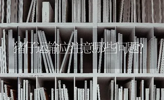 猪仔运输应注意哪些问题？ | 家畜养殖