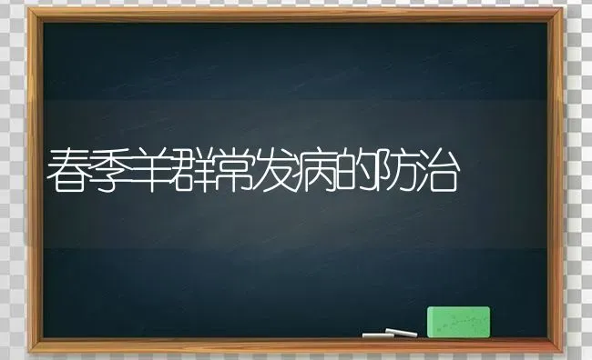 春季羊群常发病的防治 | 家畜养殖