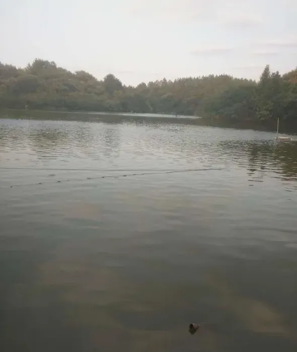 池塘水面下风口一层油膜怎么处理