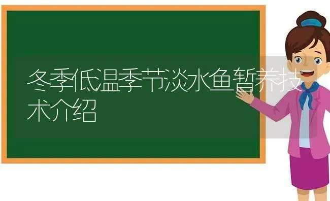 冬季低温季节淡水鱼暂养技术介绍 | 动物养殖百科