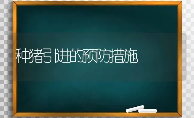 种猪引进的预防措施 | 家畜养殖