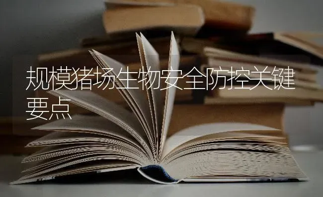 规模猪场生物安全防控关键要点 | 家畜养殖