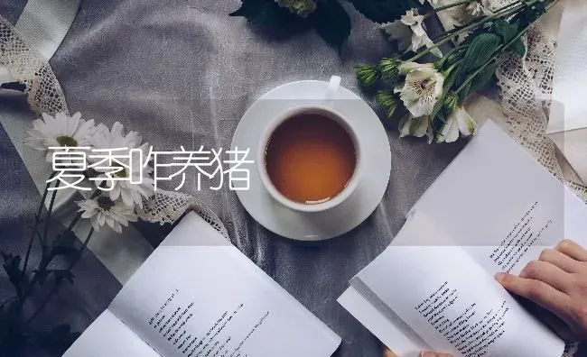 夏季咋养猪 | 家畜养殖