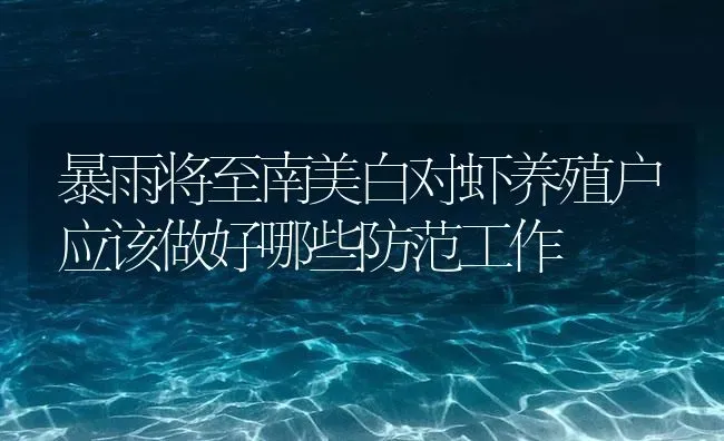 暴雨将至南美白对虾养殖户应该做好哪些防范工作 | 海水养殖