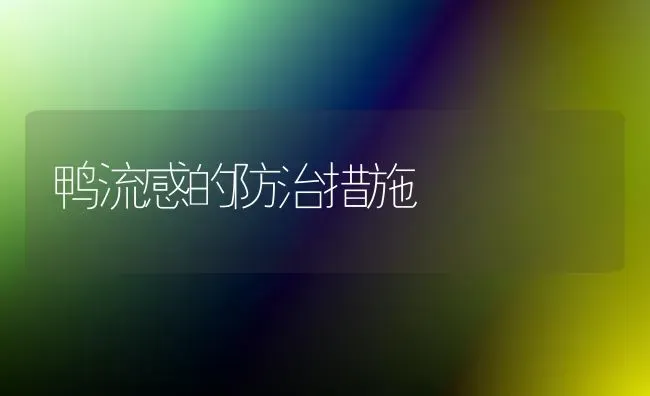 鸭流感的防治措施 | 家禽养殖