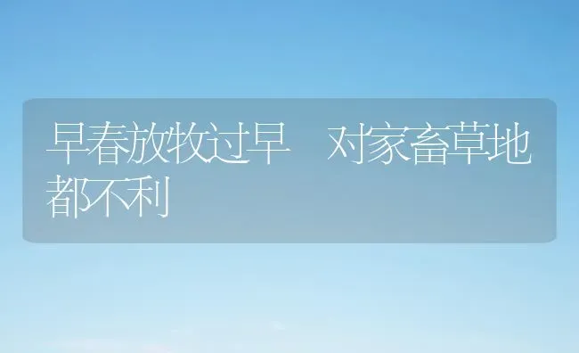 早春放牧过早 对家畜草地都不利 | 家畜养殖