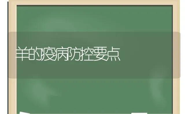 羊的疫病防控要点 | 家畜养殖
